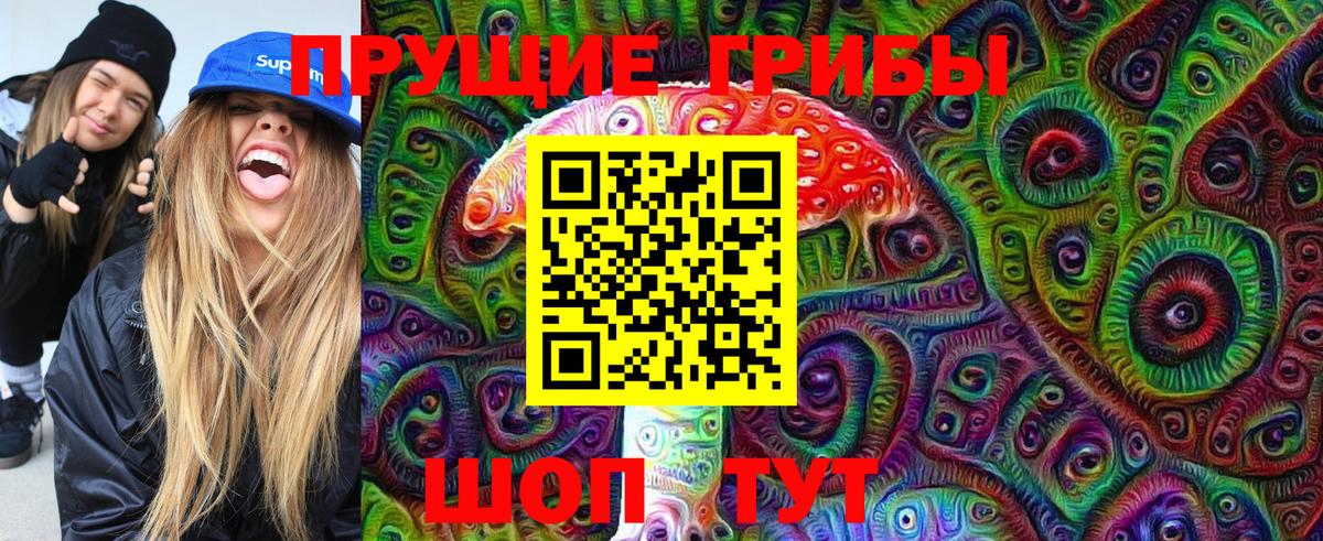 Псилоцибиновые грибы GOLDEN TEACHER  Вход с VPN  Гурьевск  Псилоцибиновые грибы Cubensis 