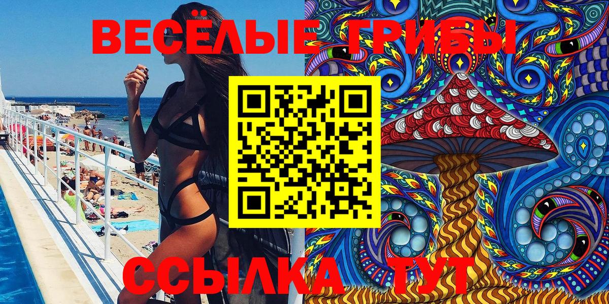 Галлюциногенные грибы Magic Shrooms Гурьевск