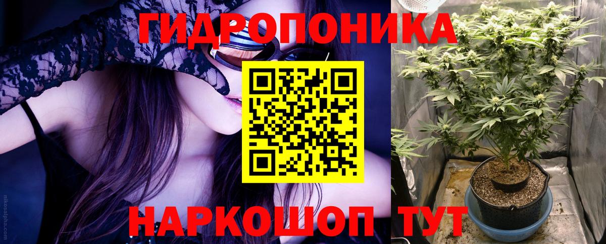 Бошки марихуана сатива Гурьевск